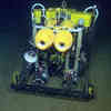 Autonomous Robotic Rover Provides New Insight Into Life on the Deep Abyssal Seafloor 