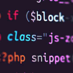 Snippets of code.