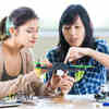 Increasing the Representation of Girls and Women in STEM, IT Education