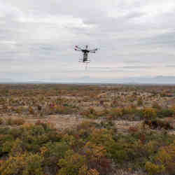 A drone seeds an area ravaged by fire. 