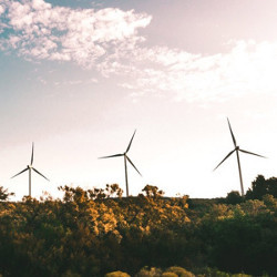 wind turbines on a horizon of trees