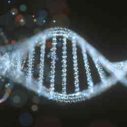 The double-helix structure of DNA.