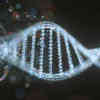 Scientists Claim Big Advance in Using DNA to Store Data