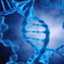 The double-helix structure of DNA.