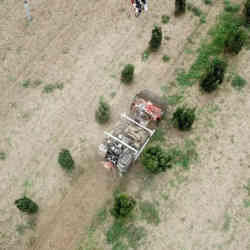 The autonomous caterpillar vehicle AMU-Bot drives between the rows of a tree nursery and removes any weeds.