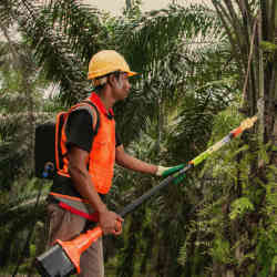 A worker uses the HARVi on a palm oil estate in Banting, Malaysia.