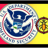 Homeland Security Offers Hackers a Bounty to Find Bugs