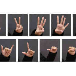 Some of the hand gestures the algorithm can recognize.