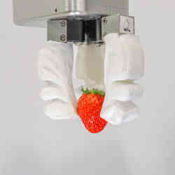 The robotic gripper grasping a strawberry.