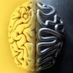 Illustration of a brain in which one half is human, one half is machine.