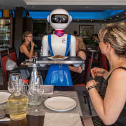 A service robot delivers food to a table in a restaurant.