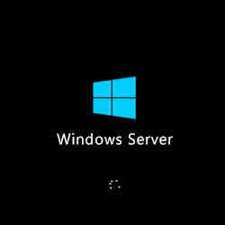 The Windows Server logo with a Windows wait cursor.