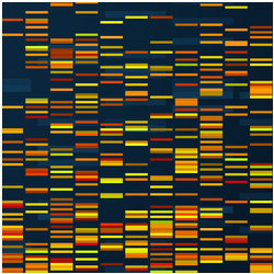 genomic data visualization