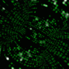 Ultrathin Materials Lead to Big Advance in Quantum Computing 