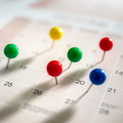 pushpins on desk calendar