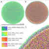 Pioneering Simulations Focus on HIV-1 Virus