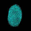 'Fingerprint' ML Technique Identifies Bacteria in Seconds