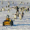 The March of the Penguins Has a New Star: An Autonomous Robot