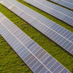 Solar panels on a commercial energy farm.