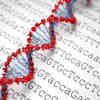 Scientists Finish Decoding Last 8% of Human Genome