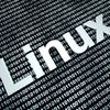 The Future of Linux