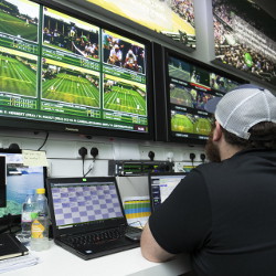 man at two laptop computers views Wimbledon matches on multiple screens