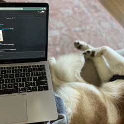 dog laying next to a laptop computer