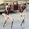 Robot Dog Learns to Walk in One Hour
