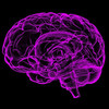 AI Scours Brain Data to Spot Mental Illness Patterns