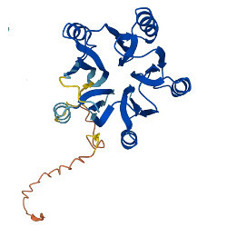 protein shape, illustration