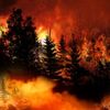 More Accurate Wildfire Monitoring Using Social Media