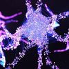 Artificial Neuron Swaps Dopamine with Rat Brain Cells Like a Real One