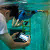 Researchers Bring Underwater Messaging App to Smartphones