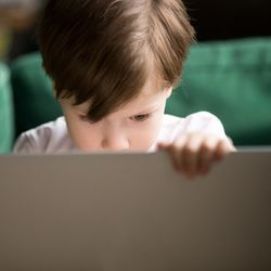 A child looks at a laptop computer screen.