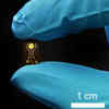 Implantable Sensor Sniffs Out Possible Signals of Osteoarthritis