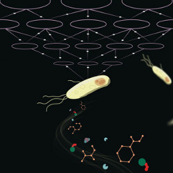 metabolic process modeling, illustration