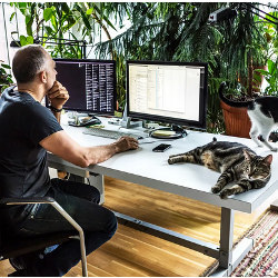 man on workstation at a desk with two cats on it