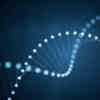 How Can Digital Data Stored as DNA Be Manipulated?