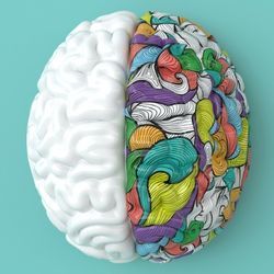 Illustration of a brain shows one half in vibrant colors.