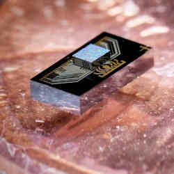 An electronics chip (the smaller chip on the top) integrated with a photonics chip, sitting atop a penny for scale.