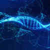 Researchers Develop Framework for Multiancestry Genomic Studies