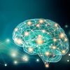 Interpretability of Artificial Neural Network Models in AI versus Neuroscience