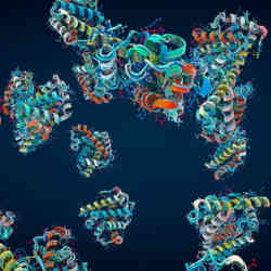 Proteins are made of chains of amino acids.