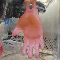 Engineered skin in the shape of a human hand.