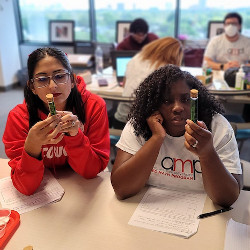 student participants in Rice University's AMP! program