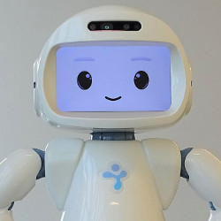 social humanoid robot