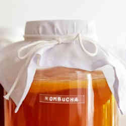 Brewing kombucha.