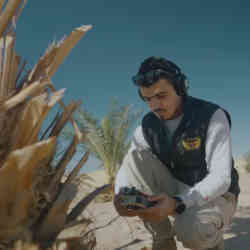 Anas Al-Ghananim, an agricultural engineer who works with Palmear, uses the app to scan a tree.