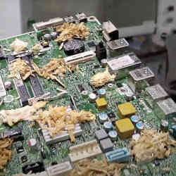 A mushroom motherboard.