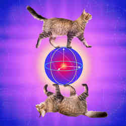 Artist's representation of a cat qubit.